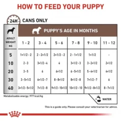 ROYAL CANIN® Gastro Intestinal Puppy Mousse -Pet World Outlet Sales royal canin gastro intestinal puppy mousse zliu.jpg