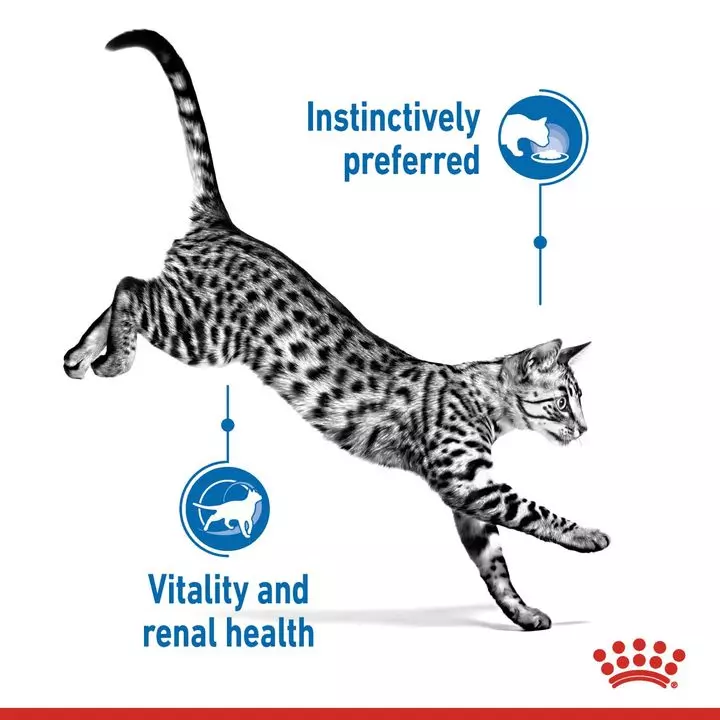 ROYAL CANIN® Indoor Sterilised Adult 7+ Wet Cat Food 3 ROYAL CANIN® Indoor Sterilised Adult 7+ Wet Cat Food - Image 3
