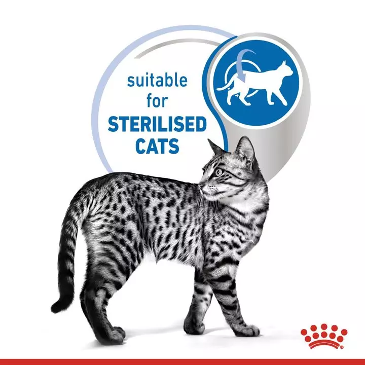 ROYAL CANIN® Indoor Sterilised Adult 7+ Wet Cat Food 4 ROYAL CANIN® Indoor Sterilised Adult 7+ Wet Cat Food - Image 4