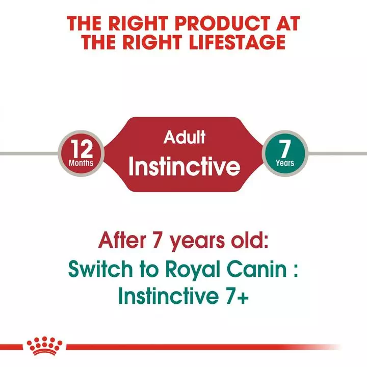 ROYAL CANIN® Instinctive Adult In Jelly Wet Cat Food 8 ROYAL CANIN® Instinctive Adult In Jelly Wet Cat Food - Image 8