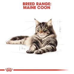 ROYAL CANIN® Maine Coon Adult Dry Cat Food -Pet World Outlet Sales royal canin maine coon adult dry cat food 2r0h.jpg