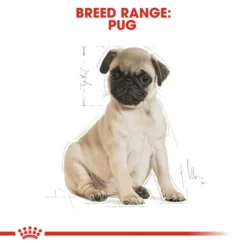 ROYAL CANIN® Pug Puppy Dog Food 11 ROYAL CANIN® Pug Puppy Dog Food -Pet World Outlet Sales royal canin pug puppy dog food a03y.jpg
