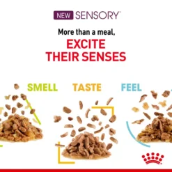 ROYAL CANIN® Sensory Feel In Jelly Adult Wet Cat Food -Pet World Outlet Sales royal canin sensory feel in jelly adult wet cat food 4srg.jpg