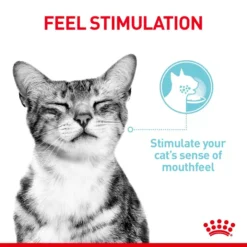 ROYAL CANIN® Sensory Feel In Jelly Adult Wet Cat Food -Pet World Outlet Sales royal canin sensory feel in jelly adult wet cat food atdk.jpg