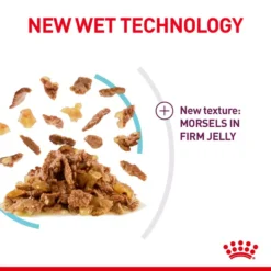 ROYAL CANIN® Sensory Feel In Jelly Adult Wet Cat Food -Pet World Outlet Sales royal canin sensory feel in jelly adult wet cat food quyz.jpg