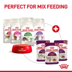 ROYAL CANIN® Sensory Feel In Jelly Adult Wet Cat Food -Pet World Outlet Sales royal canin sensory feel in jelly adult wet cat food xy6h.jpg