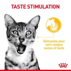 ROYAL CANIN® Sensory Taste In Jelly Adult Wet Cat Food -Pet World Outlet Sales royal canin sensory taste in jelly adult wet cat food 0hkk.jpg