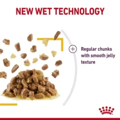 ROYAL CANIN® Sensory Taste In Jelly Adult Wet Cat Food -Pet World Outlet Sales royal canin sensory taste in jelly adult wet cat food 4mwt.jpg