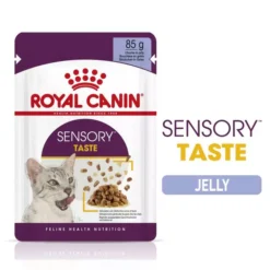 ROYAL CANINĀ® Sensory Taste In Jelly Adult Wet Cat Food