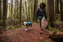 Ruffwear Climate Changer Glacier Pullover -Pet World Outlet Sales ruffwear climate changer glacier pullover p8cy.jpg