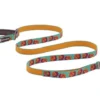 Ruffwear Flat Out Spring Burst Leash