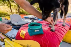 Ruffwear Quencher Cinch Top Packable Dog Bowl Tumalo Teal 9 Ruffwear Quencher Cinch Top Packable Dog Bowl Tumalo Teal -Pet World Outlet Sales ruffwear quencher cinch top packable dog bowl tumalo teal lcco.jpg