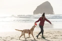 Ruffwear Sockeye Red Pacific Ring Toy -Pet World Outlet Sales ruffwear sockeye red pacific ring toy 25w6.jpg