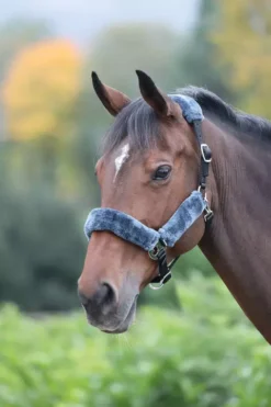 Shires Fleece Lined Headcollar Black Grey