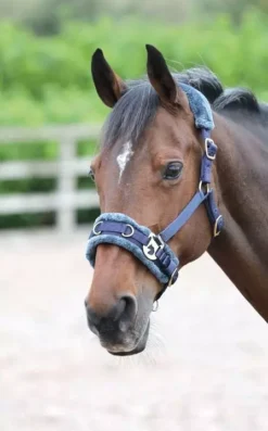 Shires Fleece Lined Lunge Cavesson Navy