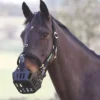 Shires Greenguard Headcollar Black