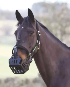 Shires Greenguard Headcollar Black