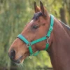 Shires Padded Headcollar Green