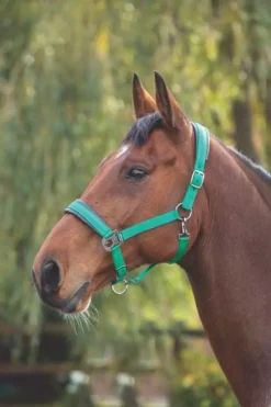 Shires Padded Headcollar Green