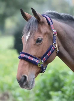 Shires Polo Fleece Lined Headcollar Pink/Natural/Navy