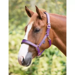 Shires Purple Fleece Lined Headcollar