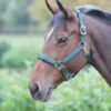 Shires Topaz Nylon Headcollar Dark Green