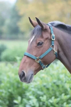Shires Topaz Nylon Headcollar Dark Green