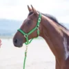 Shires Topaz Nylon Headcollar Green