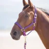 Shires Topaz Nylon Headcollar Purple