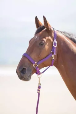 Shires Topaz Nylon Headcollar Purple