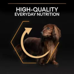 PRO PLAN Small & Mini Everyday Nutrition Adult 1+ Chicken Dog Food -Pet World Outlet Sales small mini adult 8060.jpg