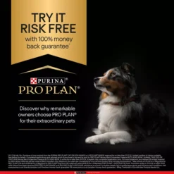 PRO PLAN Small & Mini Everyday Nutrition Adult 1+ Chicken Dog Food -Pet World Outlet Sales small mini adult qok1.jpg