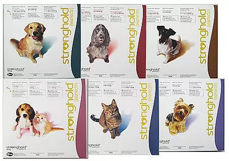 ZOETIS Stronghold Spot On For Dogs & Cats 1 ZOETIS Stronghold Spot On For Dogs & Cats