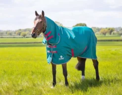 Tempest Original Air Motion Combo Rug Green