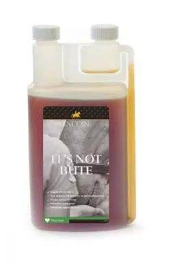 Lincoln It's Not Bute