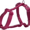 Trixie Premium H-Harness Orchid For Dogs