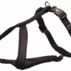 Trixie Premium Y Harness For Dogs 42 Cm/10 Mm Black