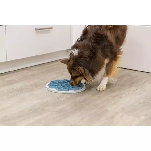 Trixie Slow Feeding Grey & Blue Food Plate Hive For Dogs 2 Trixie Slow Feeding Grey & Blue Food Plate Hive For Dogs - Image 2