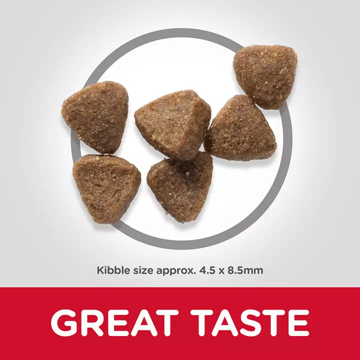 Hills Hill's Science Plan Kitten Tuna Food 5 Hills Hill's Science Plan Kitten Tuna Food - Image 5