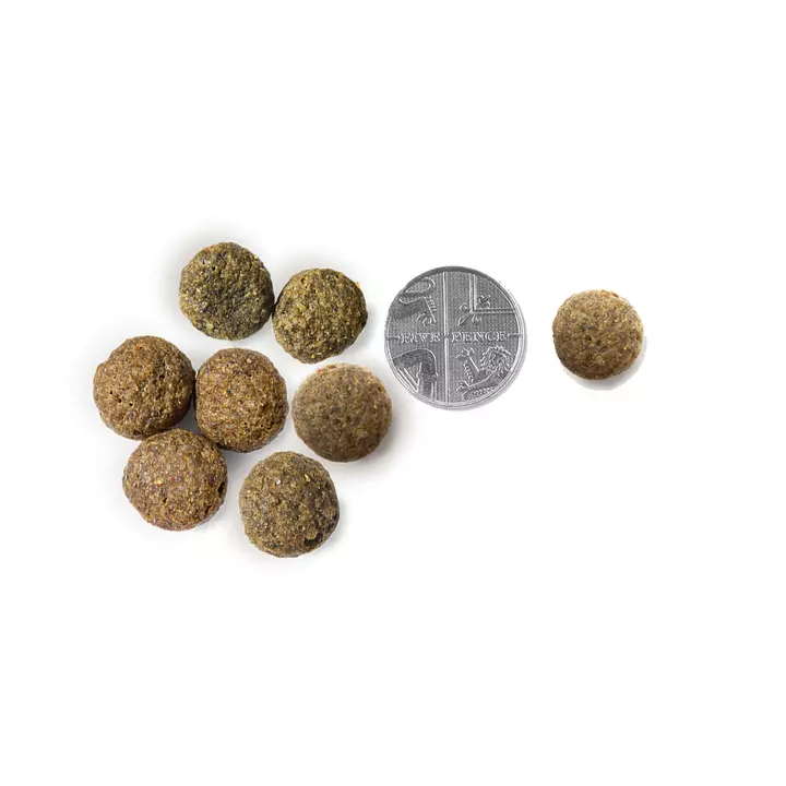 Vet's Kitchen Protect & Care Dry Dog Food Senior Salmon & Brown Rice 2 Vet's Kitchen Protect & Care Dry Dog Food Senior Salmon & Brown Rice - Image 2