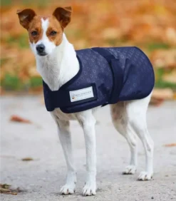 Waldhausen Silver Hearts Outdoor Dog Rug Night Blue