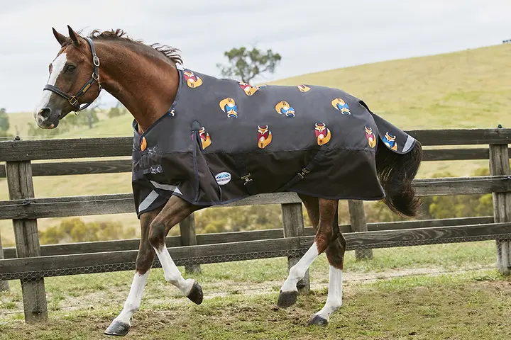 Weatherbeeta Comfitec Plus Dynamic Standard (Medium) 2 Weatherbeeta Comfitec Plus Dynamic Standard (Medium) - Image 2