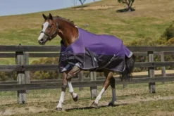 Weatherbeeta Comfitec Plus Dynamic Standard (Medium)