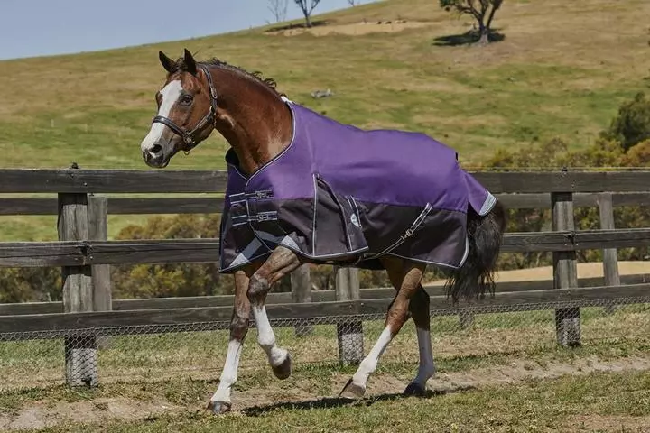 Weatherbeeta Comfitec Plus Dynamic Standard (Medium) 1 Weatherbeeta Comfitec Plus Dynamic Standard (Medium)