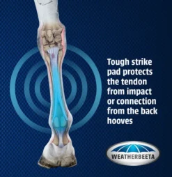 Weatherbeeta Pro Air Open Front Boots -Pet World Outlet Sales weatherbeeta pro air front boots uae4.jpg