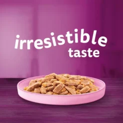 Whiskas 1+ Cat Wet Food With Salmon In Jelly -Pet World Outlet Sales whiskas 1 cat tin with salmon in jelly 1nuf.jpg