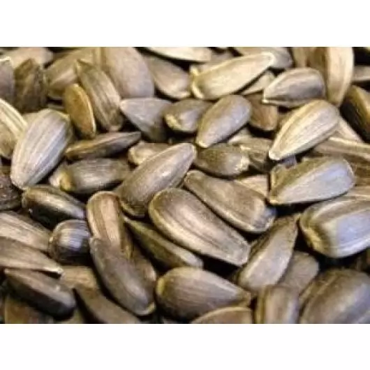 Countrywide Black Sunflower Seed 2 Countrywide Black Sunflower Seed - Image 2