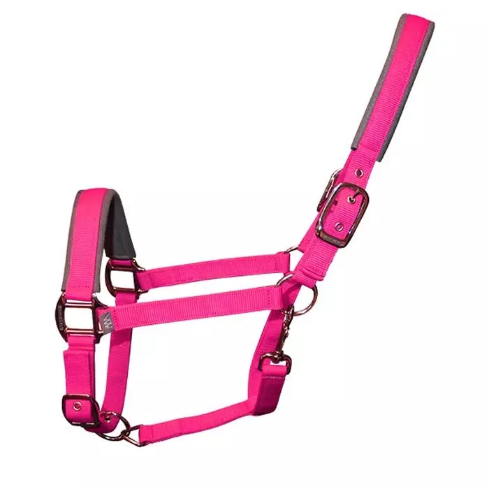 Woof Wear Contour Head Collar Berry 1 Woof Wear Contour Head Collar Berry