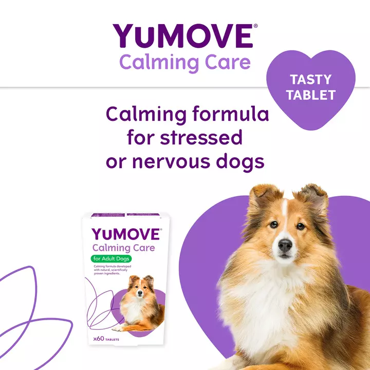 YuMOVE Calming Care For Adult Dogs 3 YuMOVE Calming Care For Adult Dogs - Image 3