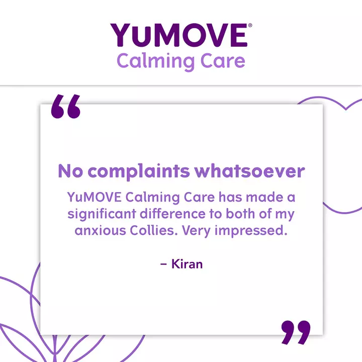 YuMOVE Calming Care For Adult Dogs 4 YuMOVE Calming Care For Adult Dogs - Image 4